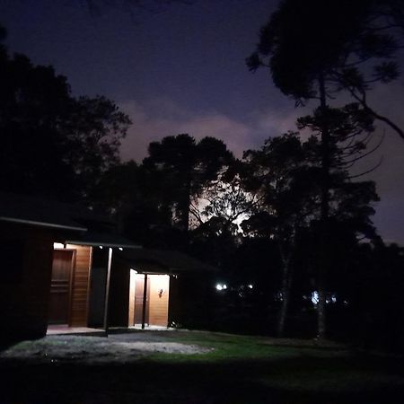 Cabanas Dos Pinheiros São Francisco de Paula Zimmer foto