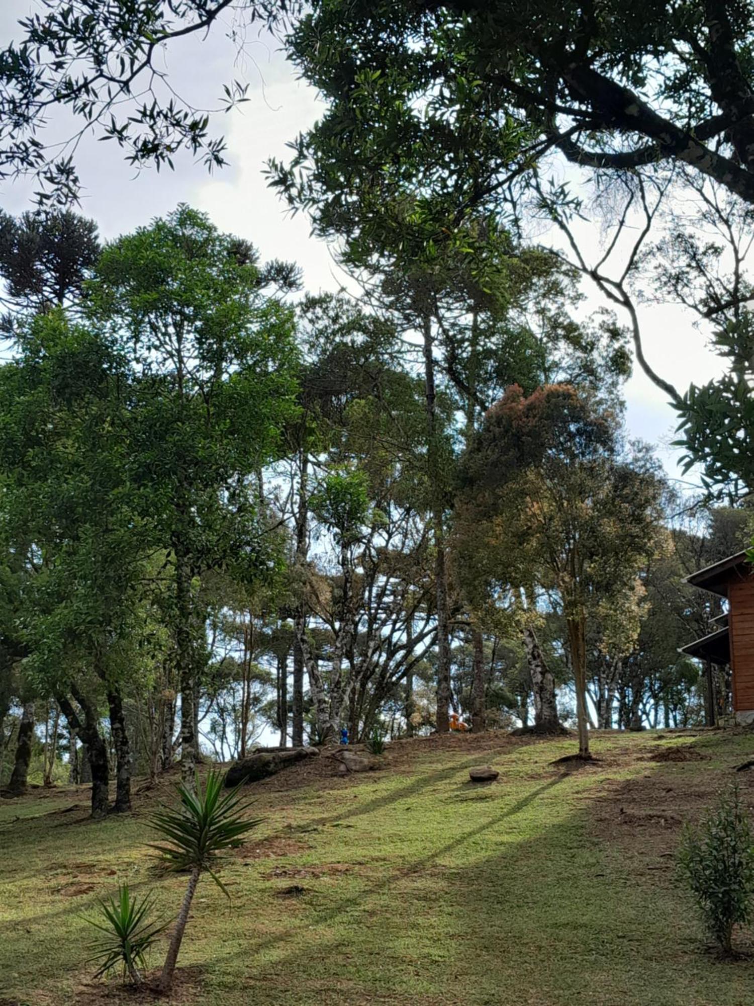 Cabanas Dos Pinheiros São Francisco de Paula Zimmer foto